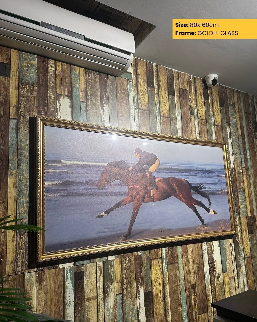 Framed picture of a horse on a beach displayed on a wooden wall.
