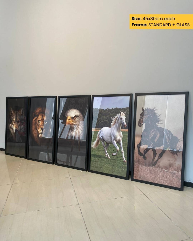 Five framed animal portraits on a wall with size and frame details.