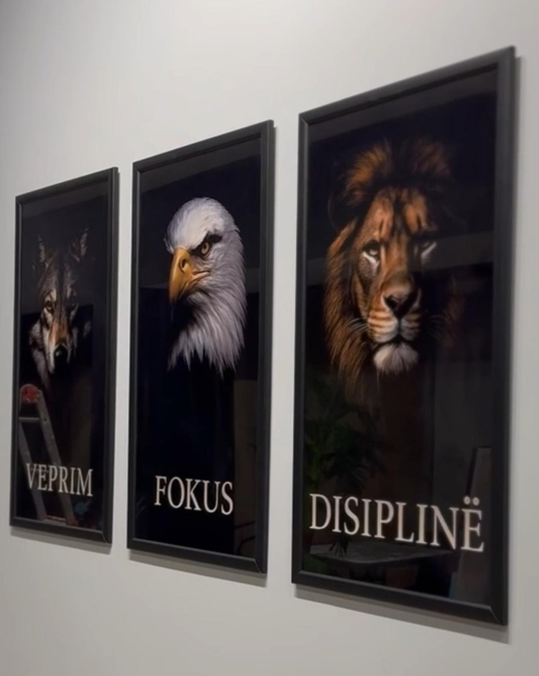 Three framed animal portraits with motivational words on a wall.