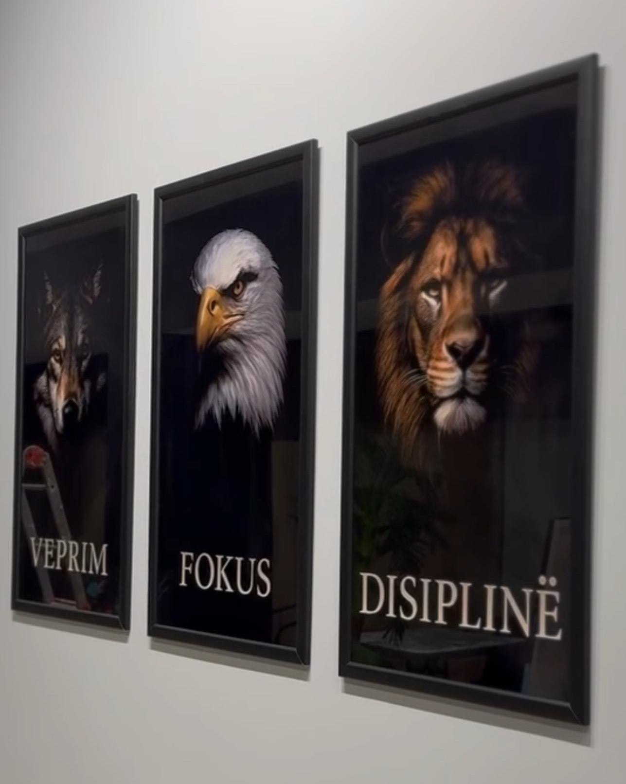 Three framed animal portraits with German words on a wall.