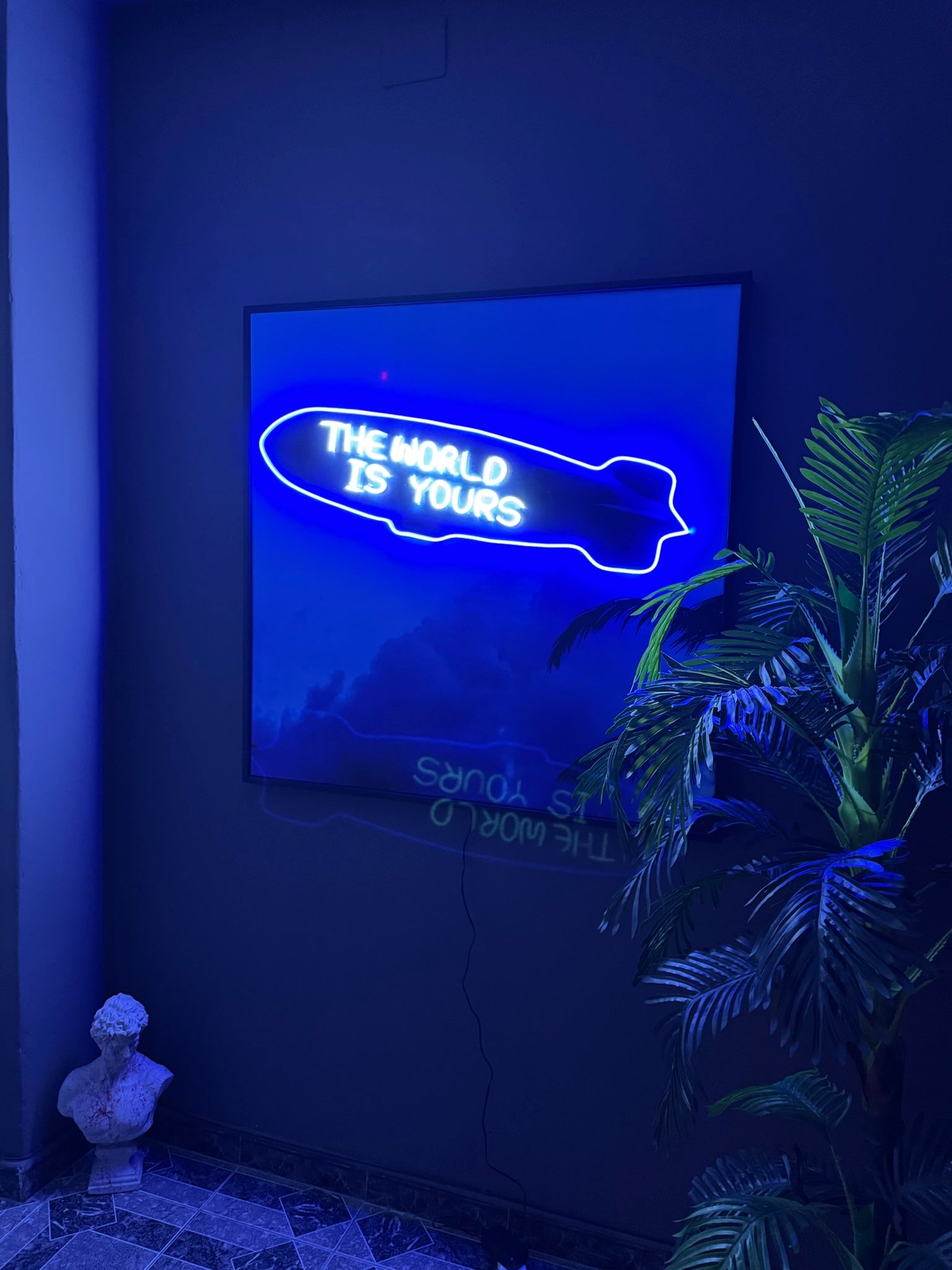 Neon sign on a wall with 'The World is Yours' text in a dark room with a plant.