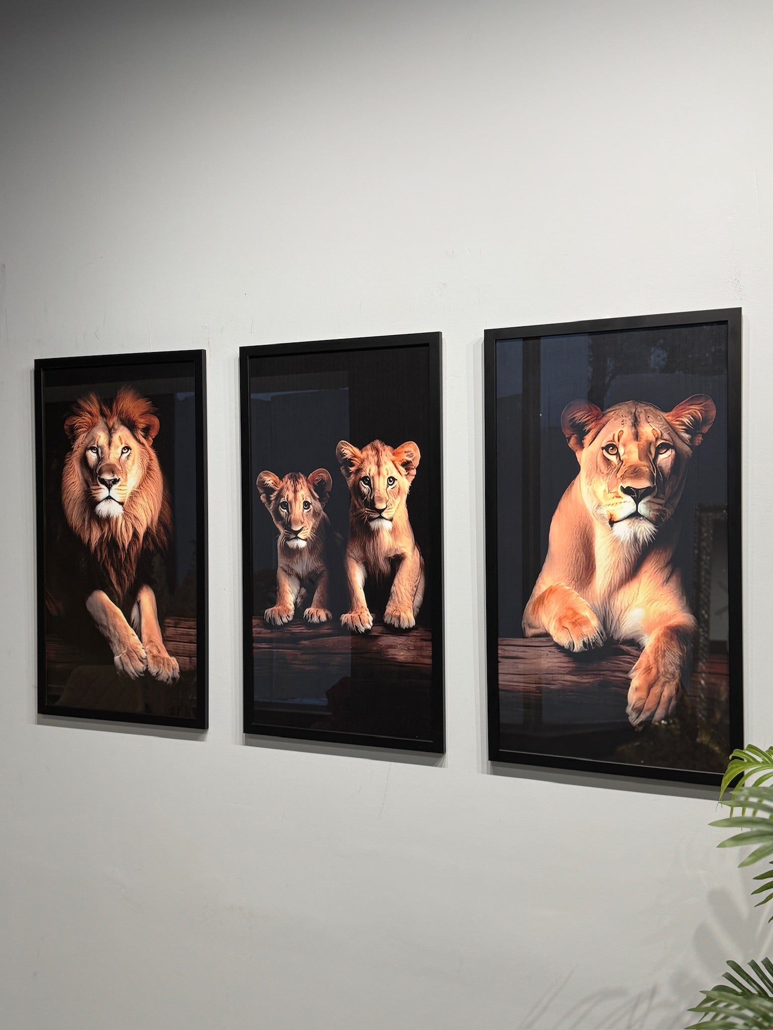 Royal Pride