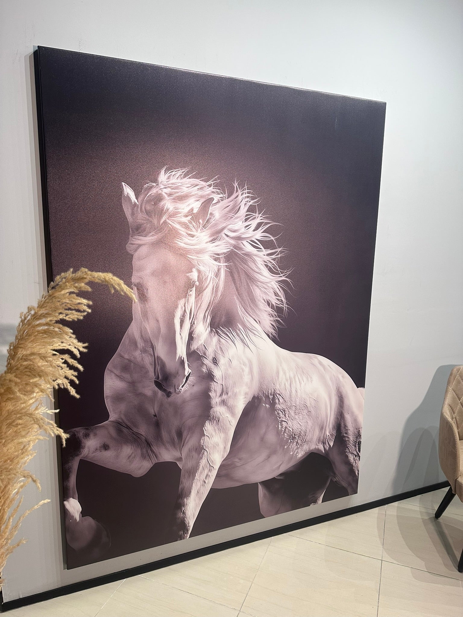Wild Spirit